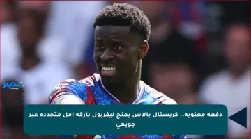 دفعة معنوية.. كريستال بالاس يمنح ليفربول بارقة أمل متجددة عبر جويهي